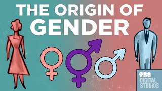 The Origin of Gender [upl. by Yaakov780]