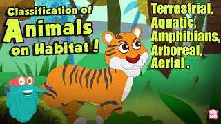 HABITAT OF ANIMALS  Classification Of Animals On Habitat  The Dr Binocs Show  Peekaboo Kidz [upl. by Nuy]