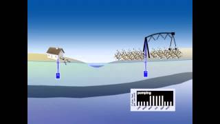 The Interactive Roles of Surface Water amp Ground Water [upl. by Wiersma595]