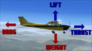 How Does Lift Work How Airplanes Fly [upl. by Ttegdirb]