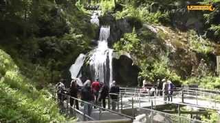 Triberger Wasserfälle Wasserfall Waterfall Black Forest Schwarzwald [upl. by Cir364]