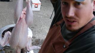 The Complete Chicken Butchering GuidePart 2 [upl. by Ernesto]