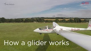 How a glider works [upl. by Nylak]