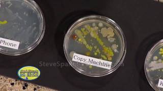 Growing Bacteria  Petri Dish [upl. by Eiramlatsyrk]