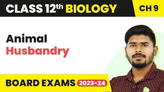 Class 12 Biology Chapter 9  Animal Husbandry Strategies for Enhancement in Food Production 202223 [upl. by Enobe]