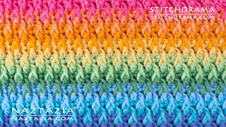 HOW to CROCHET ALPINE STITCH  Stitchorama by Naztazia [upl. by Nanine525]