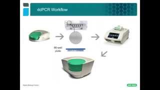 Droplet Digital™ PCR Tips amp Tricks ddPCR™ Assay Design [upl. by Ennazzus]