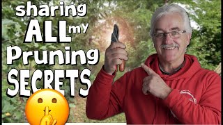 3 SIMPLEST STEPS to PRUNING your FRUIT TREES [upl. by Mcgurn960]