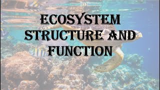 Ecosystem  structure and function  HPU BSc 1st year [upl. by Lajet]