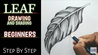 HOW TO DRAW AND SHADE A LEAF  Step By Step [upl. by Derej]