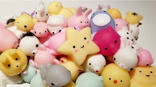 Mochi Squishy Symphony Squishies Stress Relief Collection [upl. by Nawaj827]