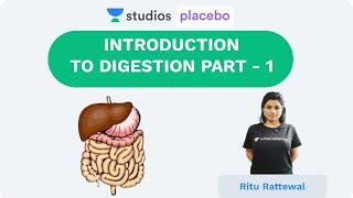 Introduction  Digestion Part 1  Human Physiology PremedicalNEETAIIMS  NEET 2020 [upl. by Dunseath839]