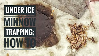 Trapping MINNOWS Under ICE  Setting and Checking Traps 2018 [upl. by Isadore]