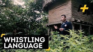 Indigenous Whistle Language In Mexico [upl. by Ekihc]