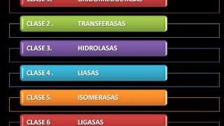 Enzimas Clasificación [upl. by Nywroc]