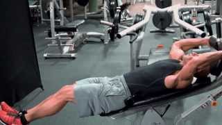 Decline Bench Reverse Crunch [upl. by Lanos]