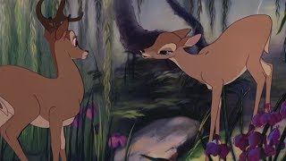 Bambi  Bambi finds Faline HD [upl. by Parke]