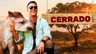 Cerrado  Biomas do Brasil  Ep9 [upl. by Ohl]