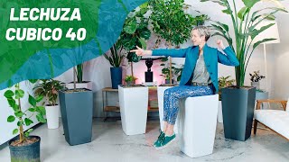 Perfect Planter For Large Plants  Lechuza Cubico 40 Selfwatering Planter [upl. by Vanna]