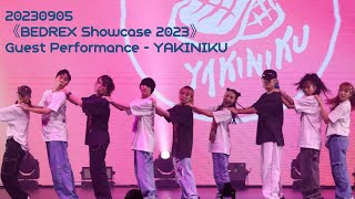 20230905 《BEDREX Showcase 2023》 Guest Performance  YAKINIKU [upl. by Itram458]