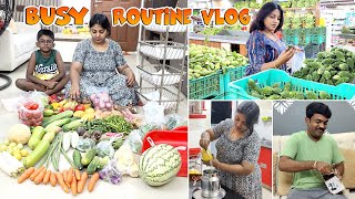 Vlog  Monthly Budget Planning Tips  Saving Tips  Busy Routine Karthikha Channel vlog [upl. by Marya]