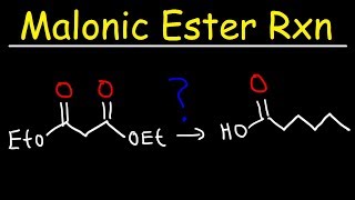 Malonic Ester Synthesis Reaction Mechanism [upl. by Llerred699]