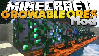 Minecraft  GROWABLE ORES MODS  NEW WAYS TO GROW ORES [upl. by Dreeda]