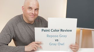 Sherwin Williams Repose Gray vs Benjamin Moore Gray Owl Color Review [upl. by Undis]