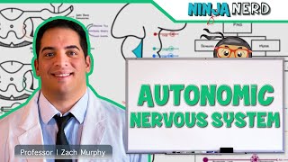 Neurology  Autonomic Nervous System [upl. by Enitsirt529]