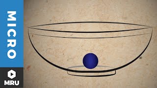 The Equilibrium Price and Quantity [upl. by Huda]