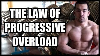 Progressive Overload The Key To Muscle Growth [upl. by Montford169]