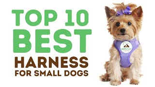 Top Best Harnesses for Small Dogs [upl. by Raymonds]