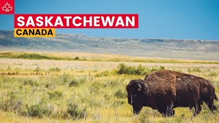 Canada Road Trip Best Things To Do In Saskatchewan [upl. by Heringer]