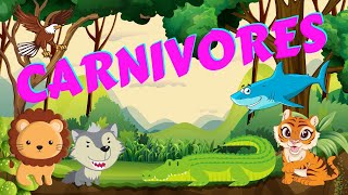 Carnivores  Types of Animals  Science for Kids [upl. by Luann]