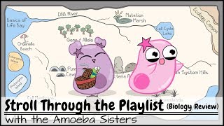 Stroll Through the Playlist a Biology Review [upl. by Olds261]