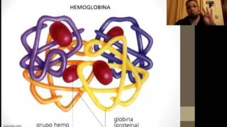 Química Biológica  Hemoglobina [upl. by Maddocks]