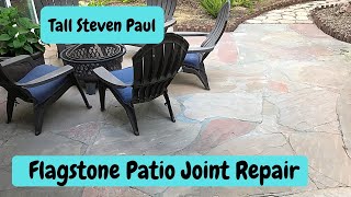 Flagstone Joint Repair [upl. by Latreese]