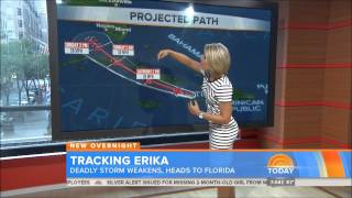 Dylan Dreyer The Today Show [upl. by Lean136]