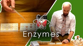 Enzymes  GCSE Science Required Practical [upl. by Mackintosh895]