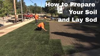 How to Prepare Your Soil and Lay Sod [upl. by Atilol444]