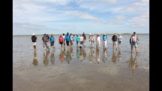 Weltnaturerbe Wattenmeer [upl. by Cherry]