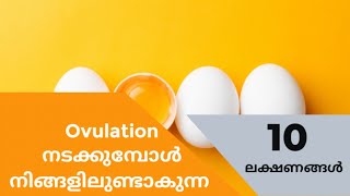 Top 10 Ovulation Symptoms Malayalam [upl. by Isoj]