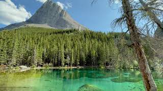 Kananaskis  Wilderness Within  4K UltraHD [upl. by Bidget]