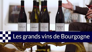 Les vins de Bourgogne un trésor national [upl. by Yartnoed]