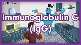 Immunoglobulin G IgG USMLE Mnemonic [upl. by Naed]