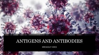 Antigens and Antibodies [upl. by Linnette]