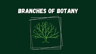 Branches of Botany l Lecture  02 l Botany Basics [upl. by Braunstein]