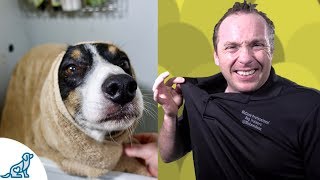 Simple Hacks To Bath Your Dog  Professional Dog Training Tips [upl. by Enilesor989]