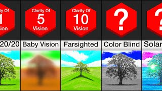 Comparison Human Vision [upl. by Nerehs]