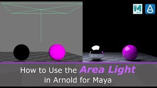 How to Use the Area Light in Arnold for Maya [upl. by Enyahs592]